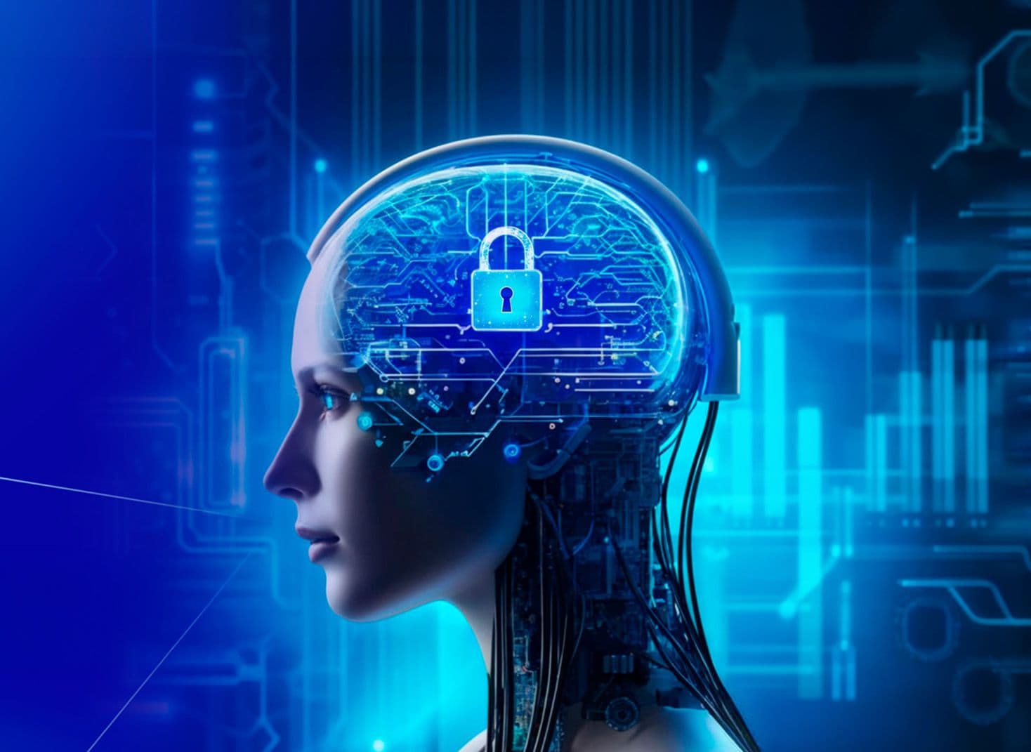 AI in Data Privacy