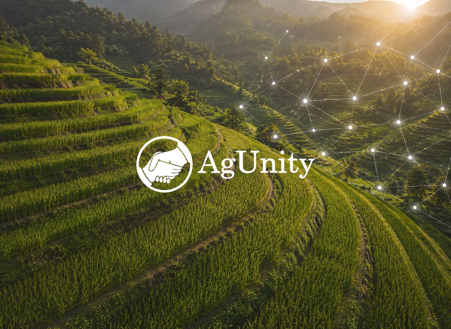 AgUnity: Blockchain-Based Accounting Service for Farmers Cooperatives