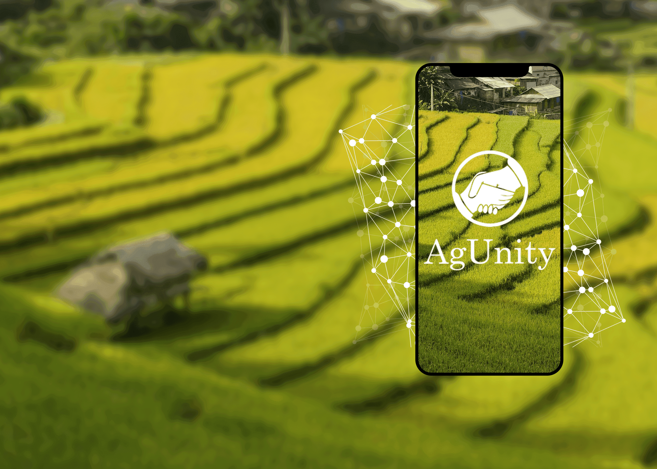 AgUnity: Blockchain-Based Accounting Service for Farmers Cooperatives