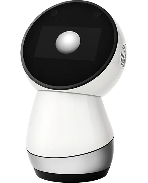 Jibo robot store