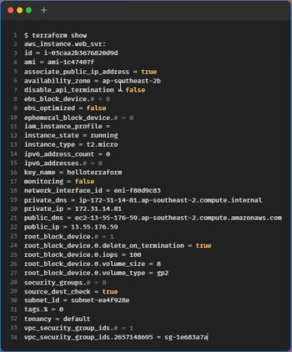 Run the command $ terraform show to verify