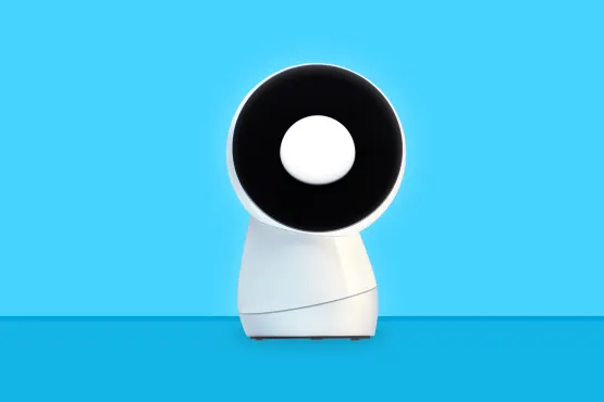 How it Worked for Jibo