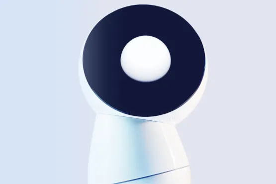 Jibo: Server-side and Java Mobile Development for a Robot