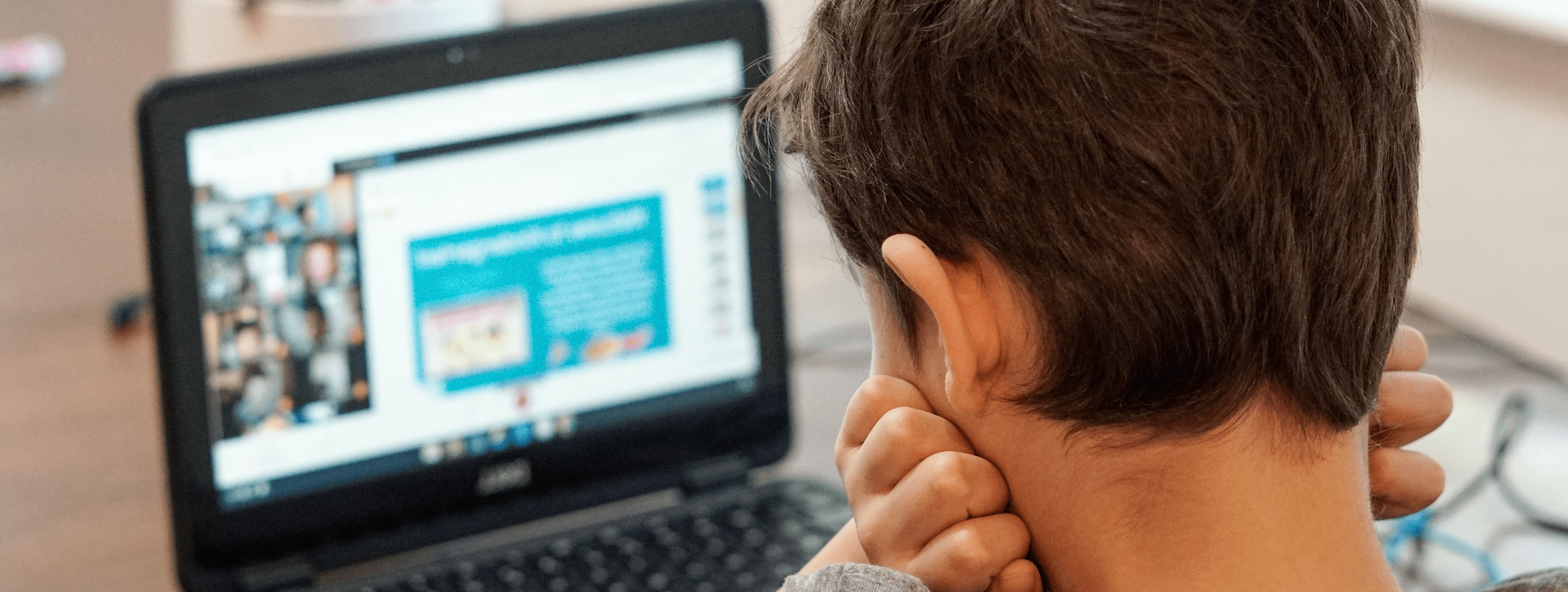 Virtual Conferences in eLearning
